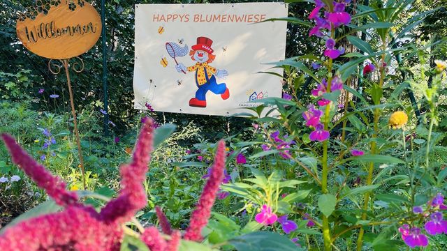 Frühlingserwachen - 10 %