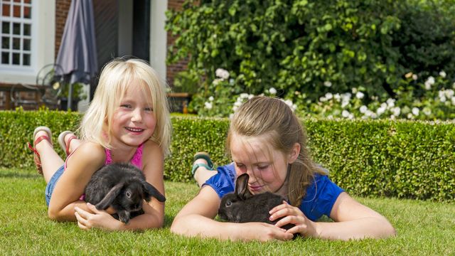 Bunte Ostertage auf dem Gut (-10 %)