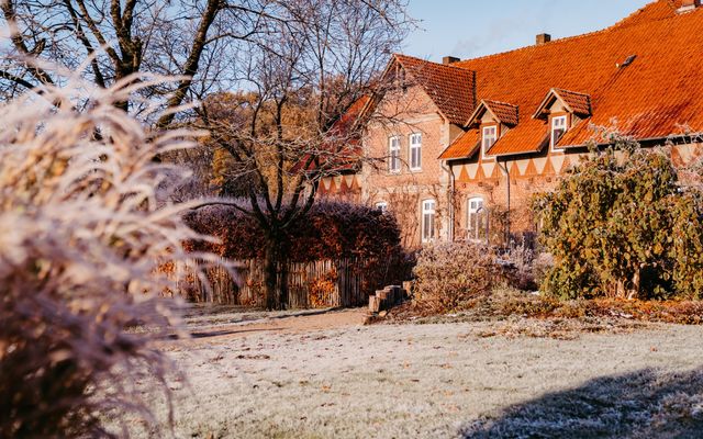 Averbeck nov-113.jpg