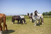 Sommer an der Nordsee