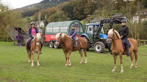 Reiturlaub im schönen Sauerland