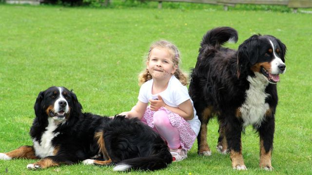 Spar-Woche auf dem Ferienhof