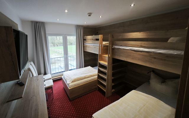 Gestiefelter Kater image 3 - Familotel Sauerland Monikas Ferienhof