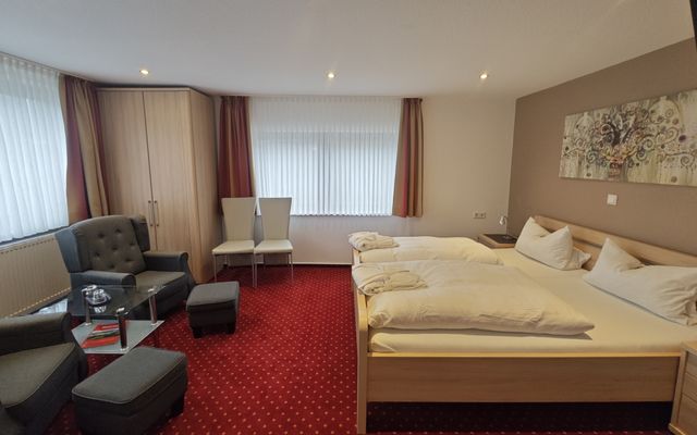 Rapunzel image 2 - Familotel Sauerland Monikas Ferienhof