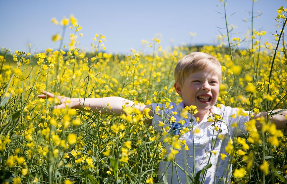 Permakultur lernen und anwenden