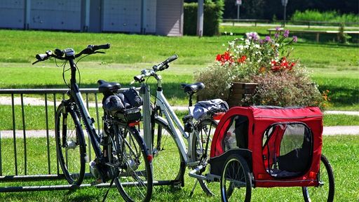 Im Allgäu können Sie eine gemütliche Radtour machen oder anspruchsvolle Mountainbike-Touren erleben.