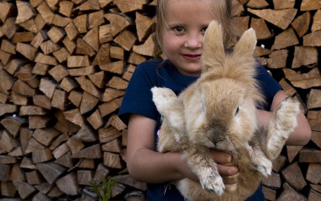 Familotel Stubaital Alpenhotel Kindl: Easter bunny week