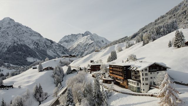 Februar - Sonderaktion minus 20%