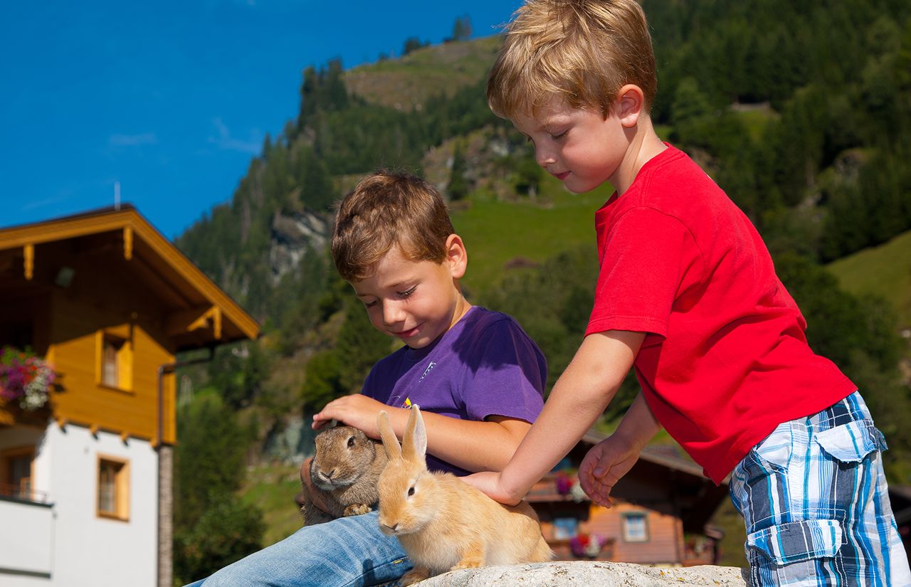Familienhotel_Bauernhof-Hotel_Oberkarteis_Streichelzoo.jpg
