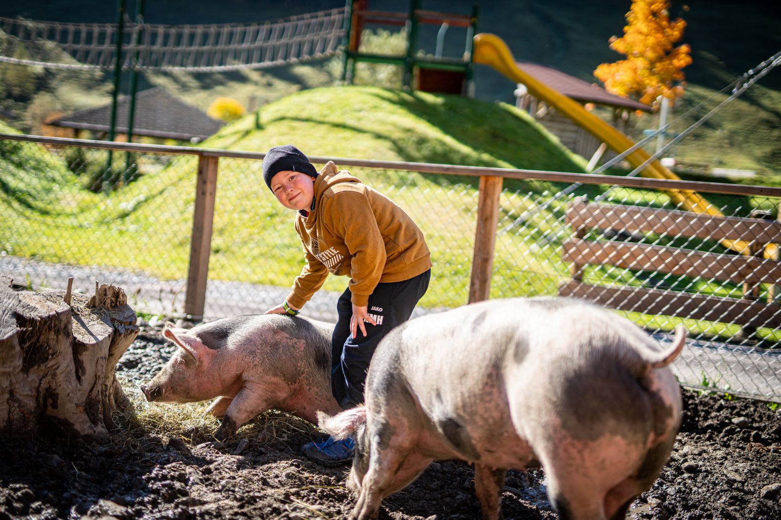 SUPERSOMMER, Tiere, Spaß, und mehr... image 3 - Familotel Salzburger Land Familienhotel Oberkarteis