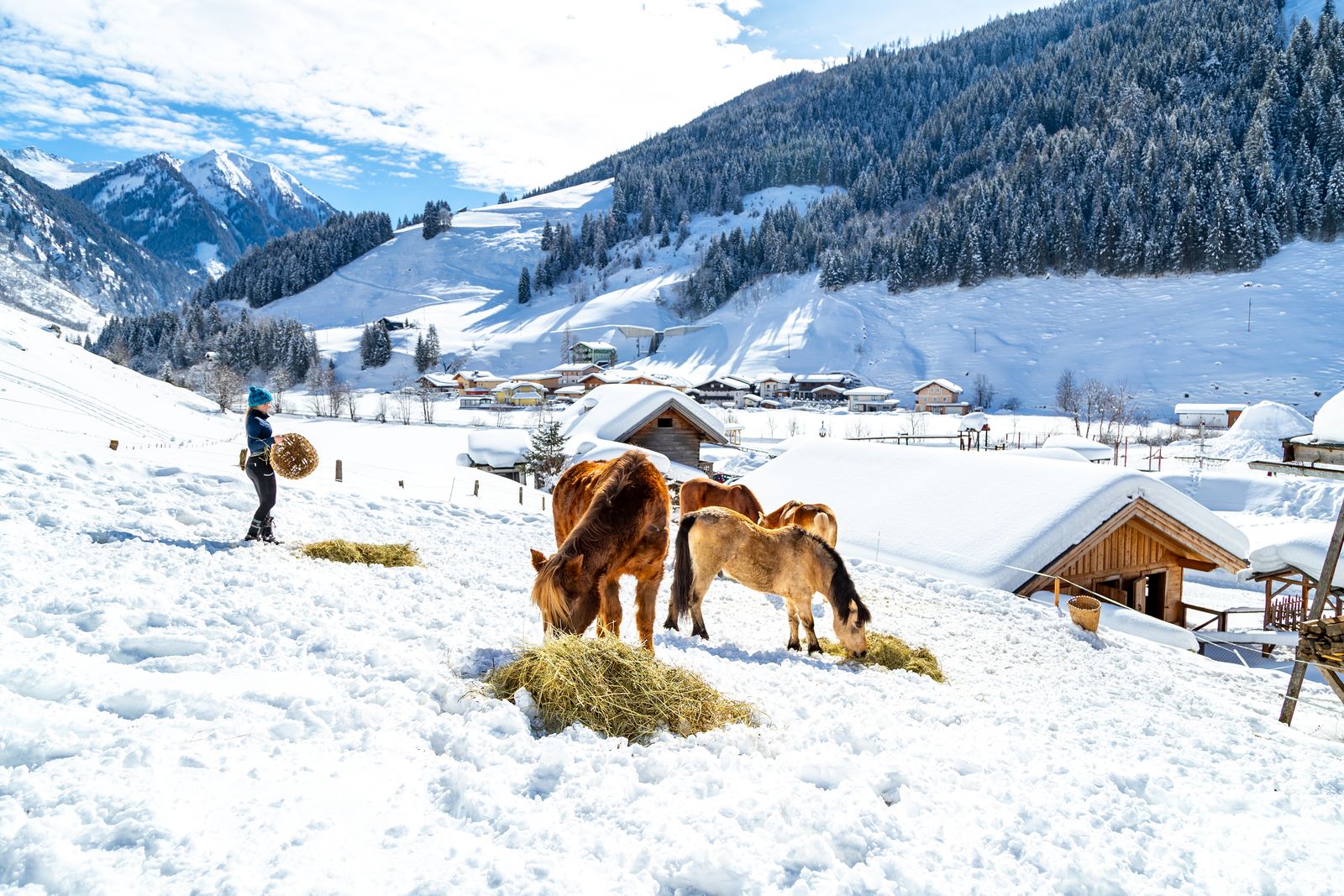 Bunte Ostertage image 4 - Familotel Salzburger Land Familienhotel Oberkarteis