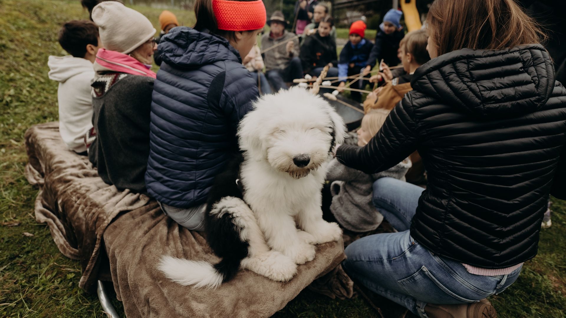 Hotelhund Wolly sitzt bei Gästen am Lagerfeuer im Wald.