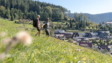 Semaines de randonnée estivale en Forêt-Noire 