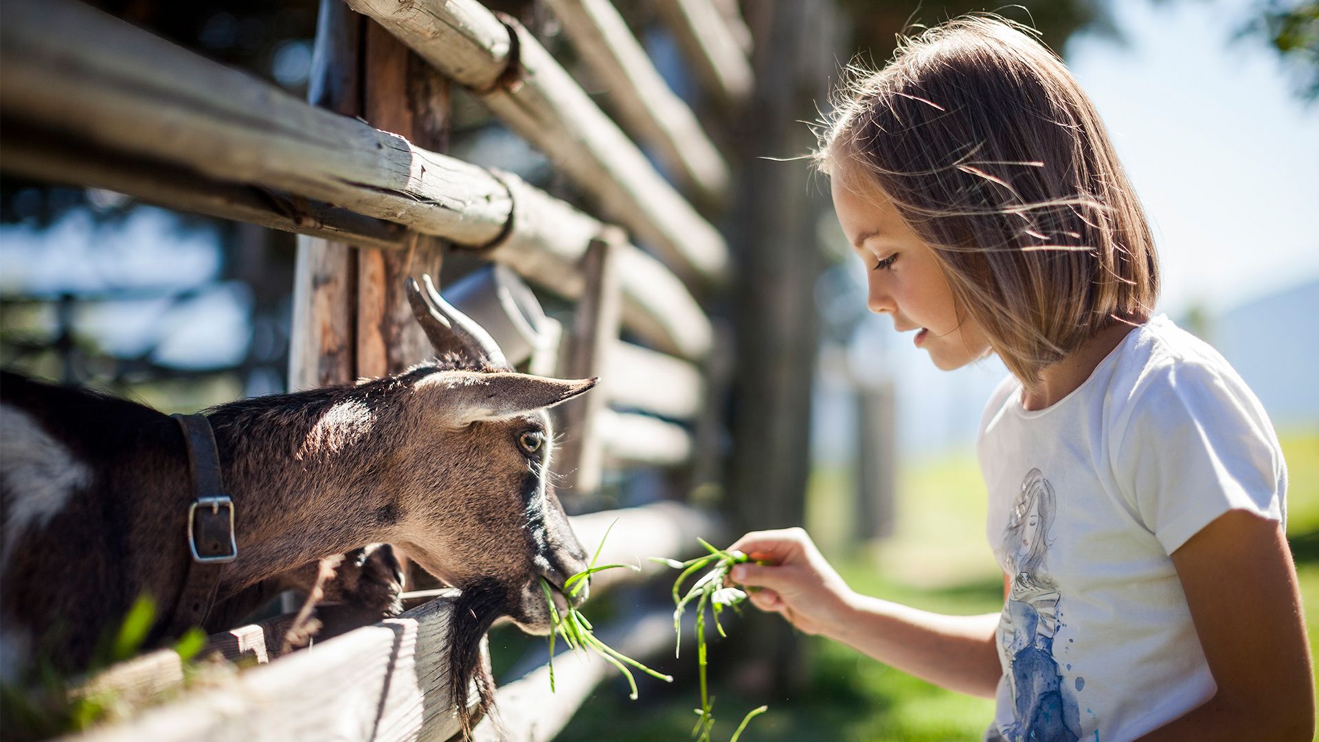 Tiere machen Kinder einfach glücklich. Es reift die Freundschaft und Verbindung zueinander.