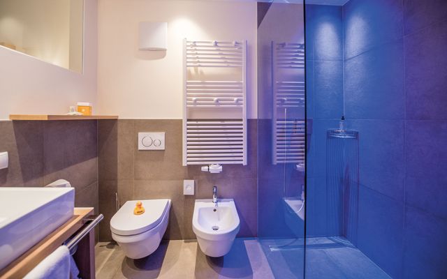 Alpenrose image 2 - Familotel Südtirol Huber