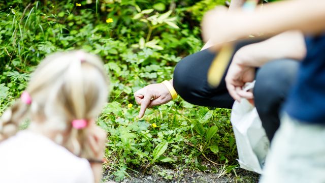 Wald & Wiesen Wochen