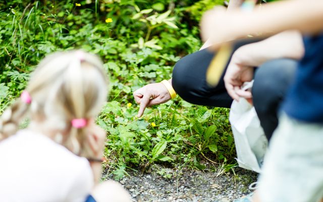 Familotel Südtirol Huber: Wald & Wiesen Wochen