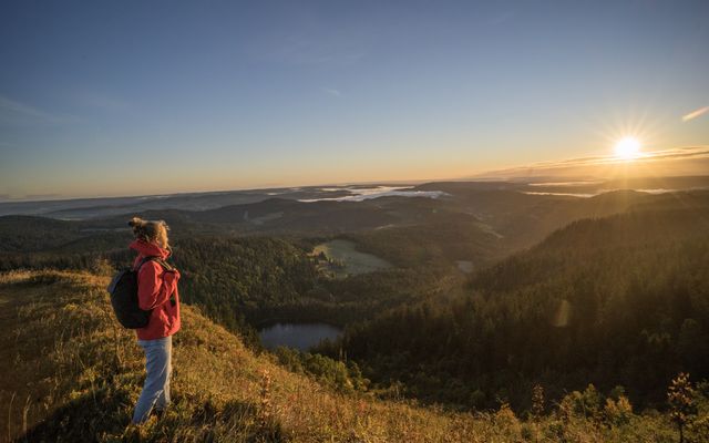 Blick vom Feldberg auf den Feldsee.jpg