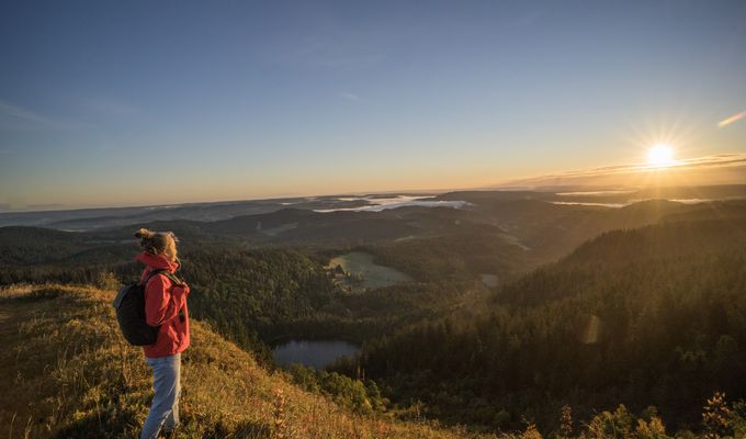 Offre: Vacances en famille - Dernière minute - Feldberger Hof