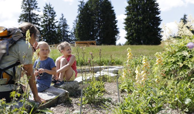 Angebot: Familienurlaub auf der Höhe - Feldberger Hof