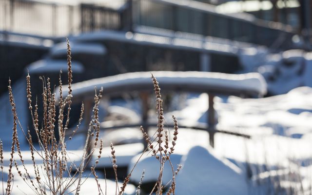 Wald-Winter-Wochen image 8 - Familotel Bayerischer Wald Schreinerhof