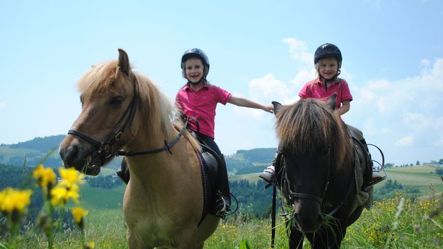 Familien-Reiturlaub für kleine Anfänger