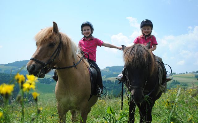 Familotel Kärnten Familien Resort Petschnighof: Family riding vacation for little beginners
