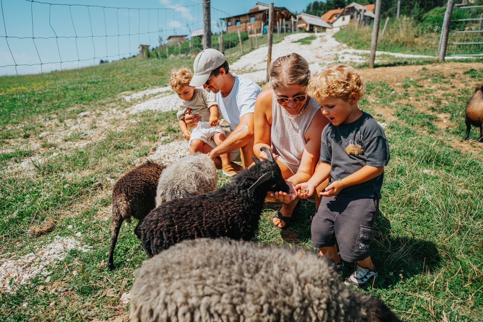 kleine reitZEIT image 6 - Familotel Kärnten Familien Resort Petschnighof