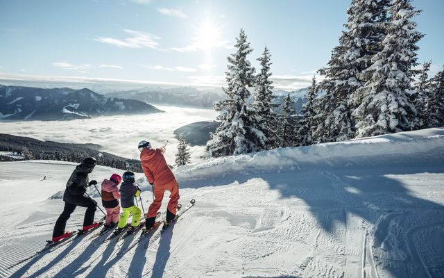 Familotel Zell am See Amiamo: Sunshine Skiing Days 7=6 in January