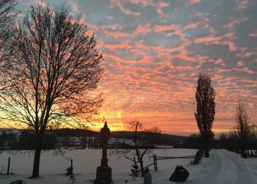 Biohotel LindenGut: Winterlandschaft - LindenGut, Dipperz, OT Kohlgrund, Hessen, Deutschland