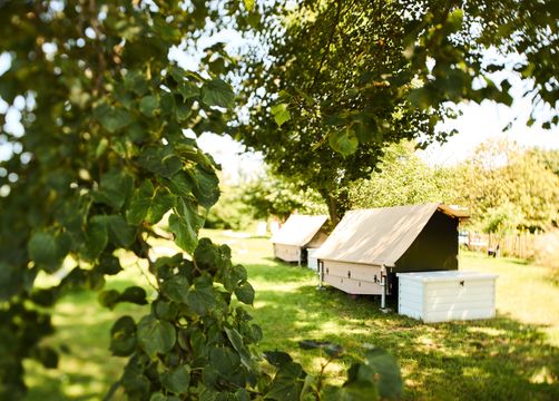 Glampingbett (1/3) - LindenGut