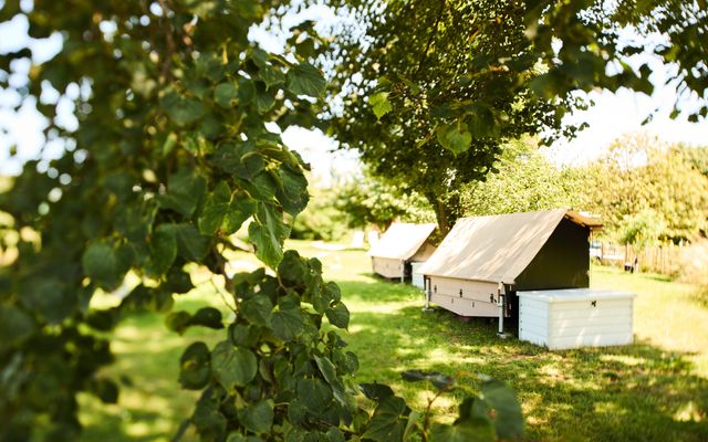 Unterkunft Zimmer/Appartement/Chalet: Glampingbett