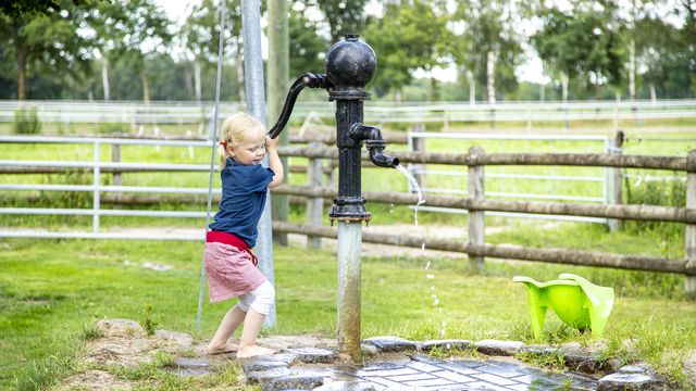 Sommer Bonustage