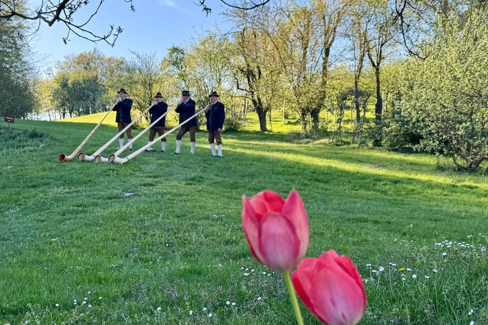 Alphornbläser im RelaxGarten
