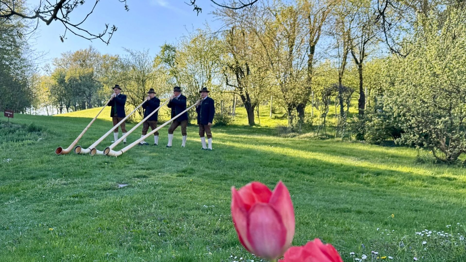 Alphornbläser im RelaxGarten