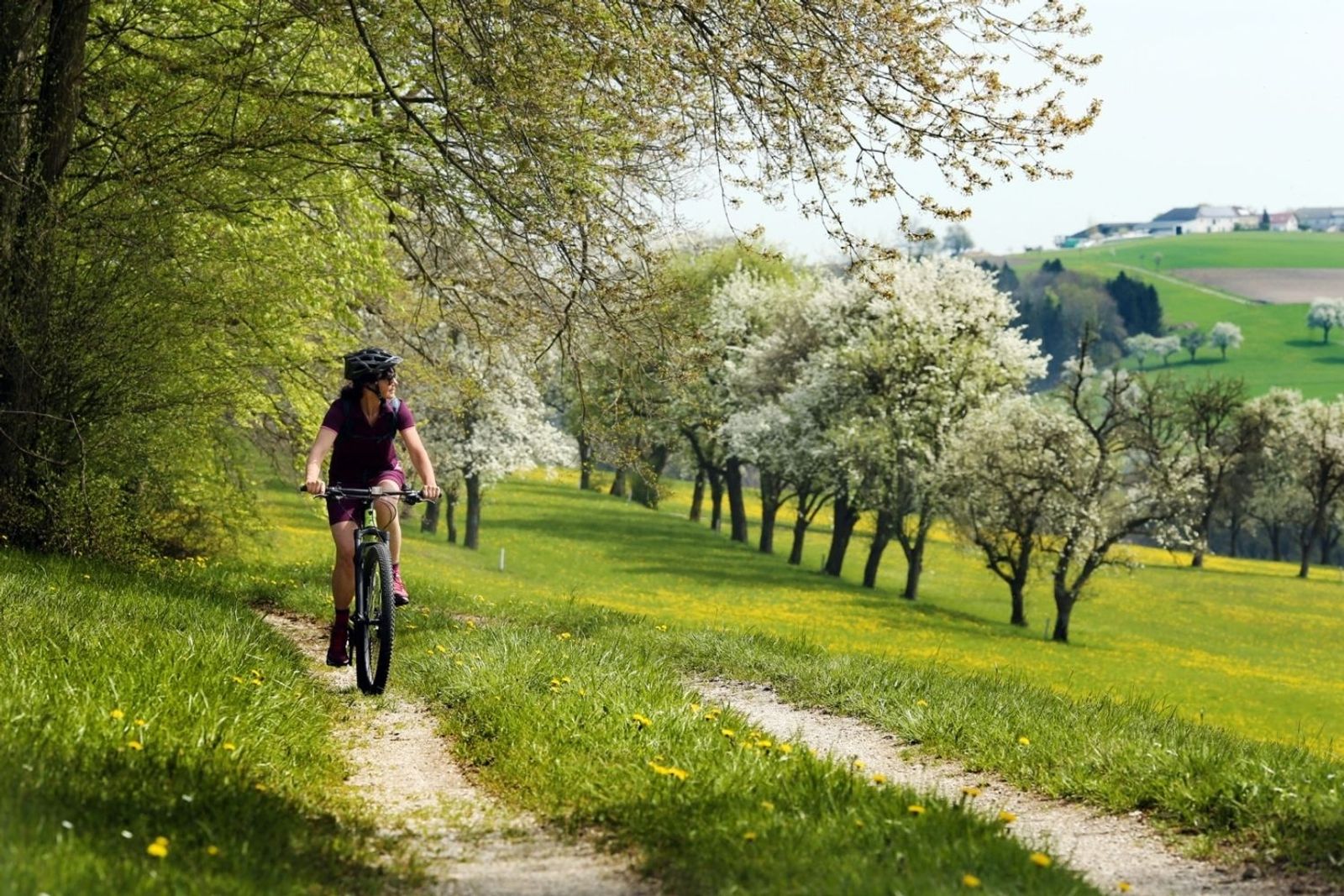 Radfahren im Mostviertel