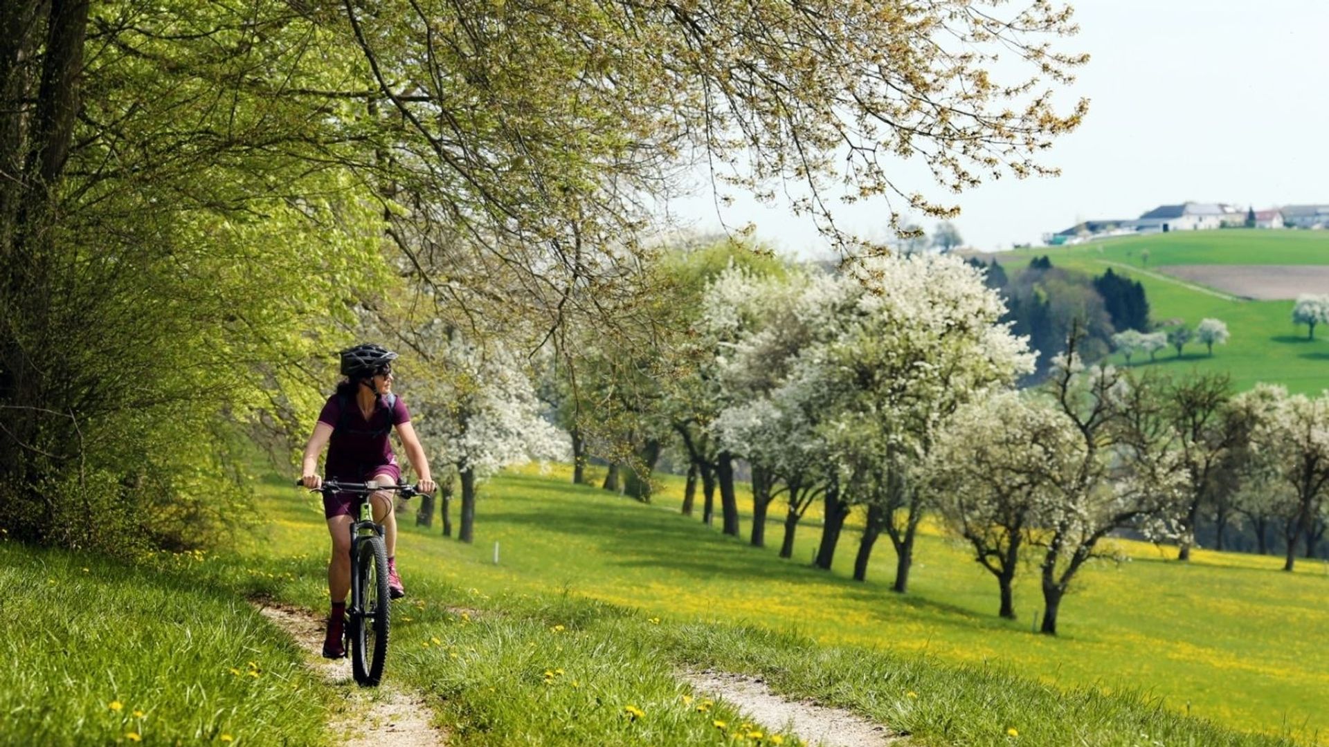 Radfahren im Mostviertel
