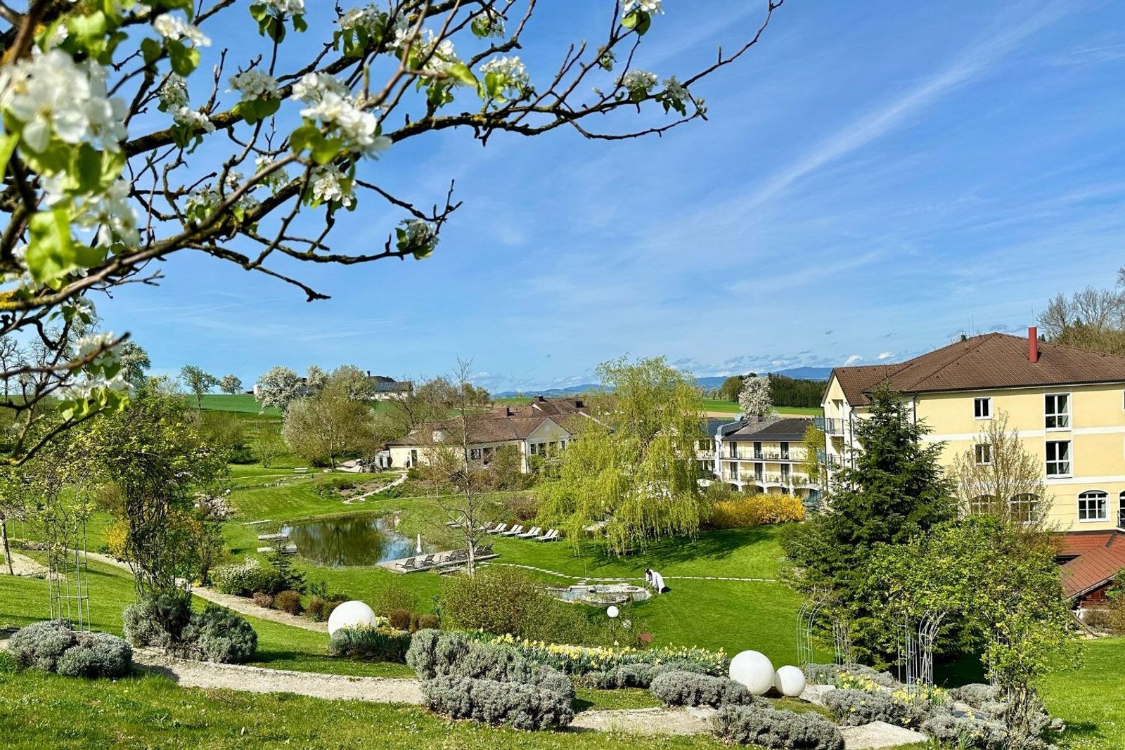 Baumblüte im RelaxGarten
