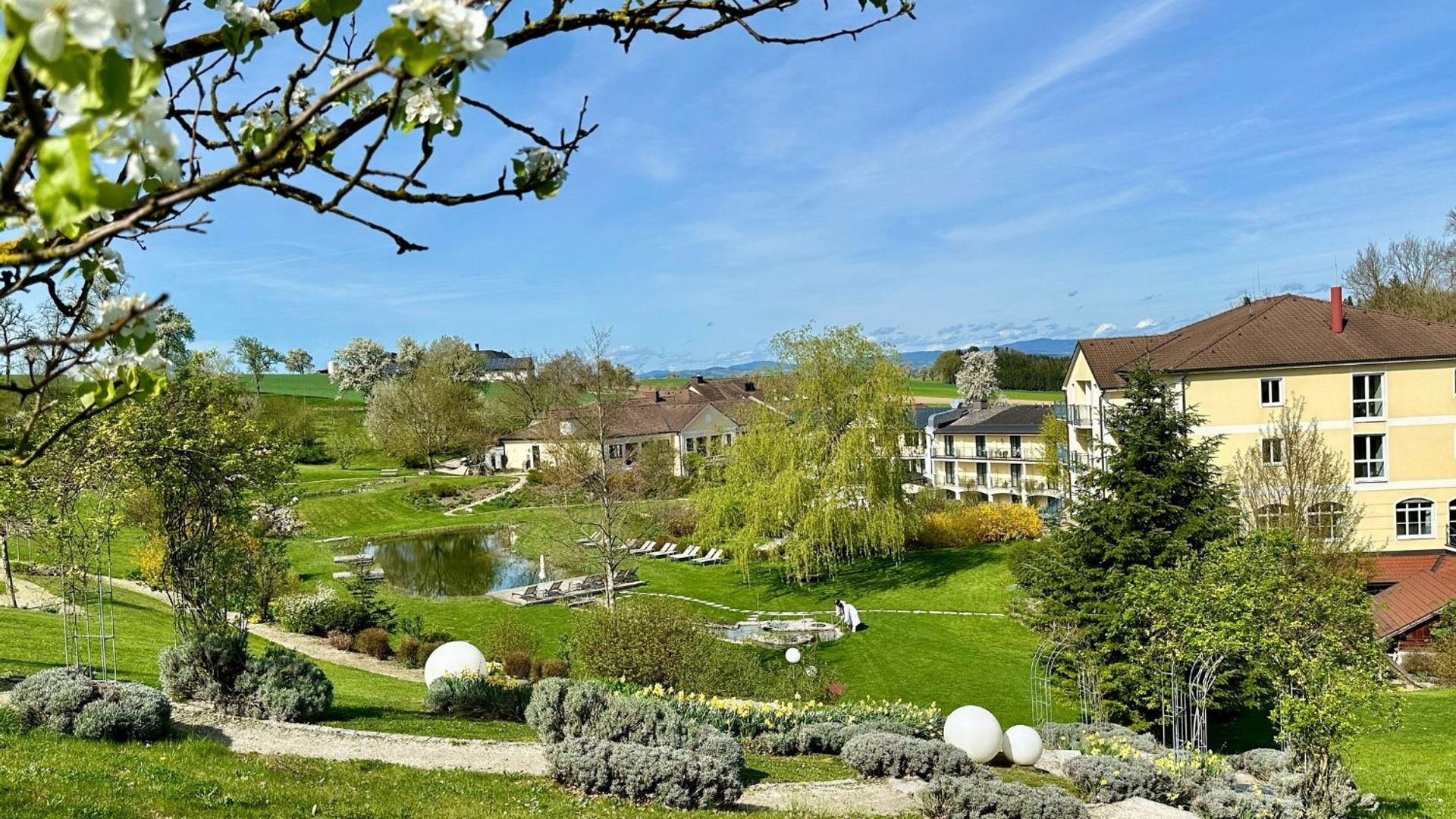 Baumblüte im RelaxGarten