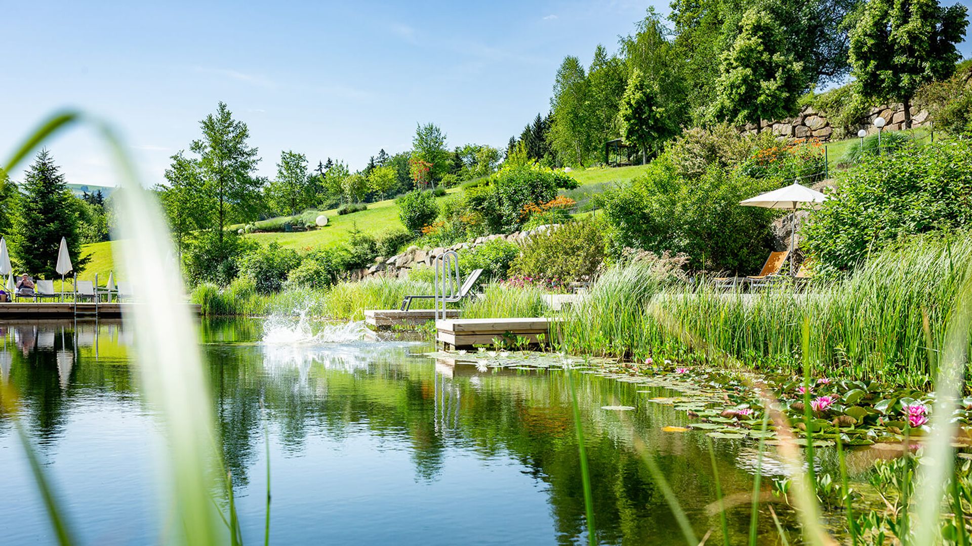 RelaxGarten Schwimmteich Biotop