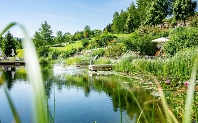 RelaxGarten Schwimmteich Biotop