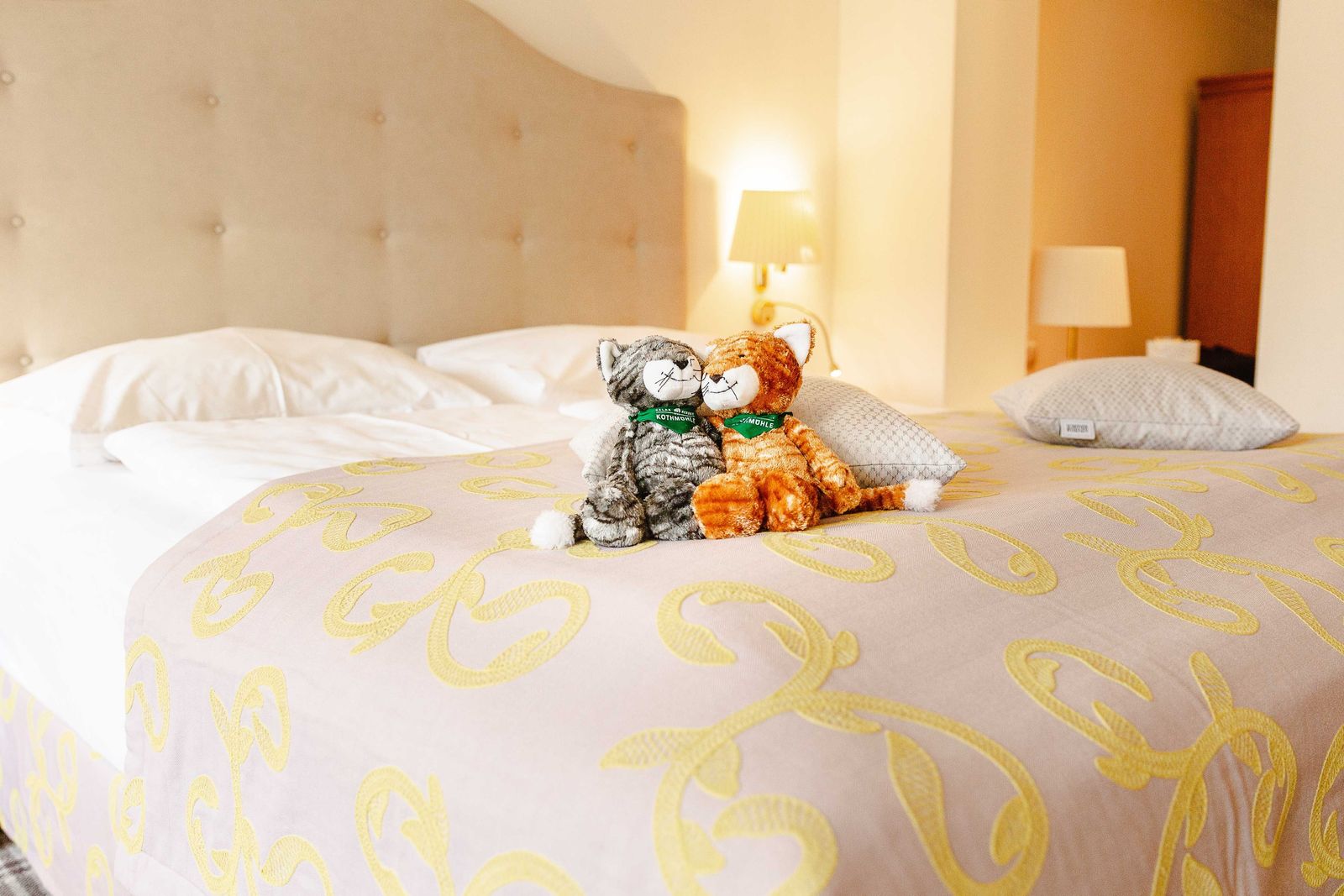 Schmusekatzen im Kuschelzimmer Birne