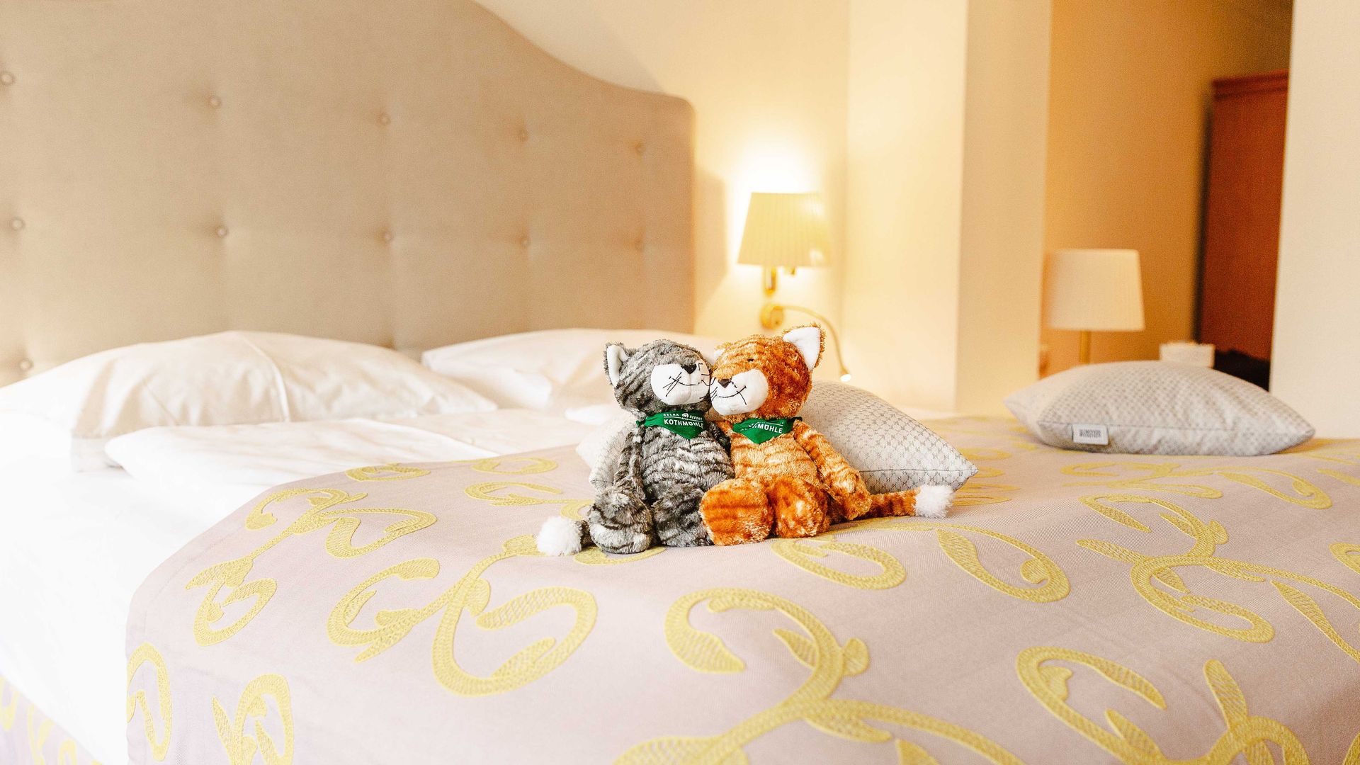 Schmusekatzen im Kuschelzimmer Birne