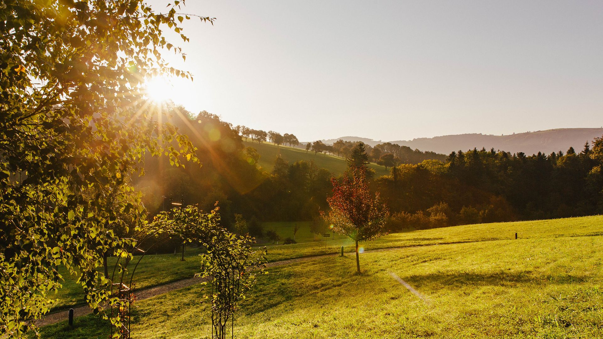 garden in the Mostviertel region