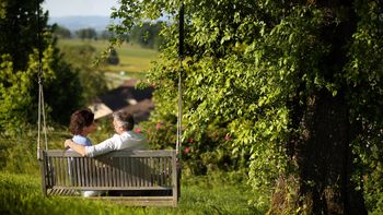Birnenschaukel Kothmühle