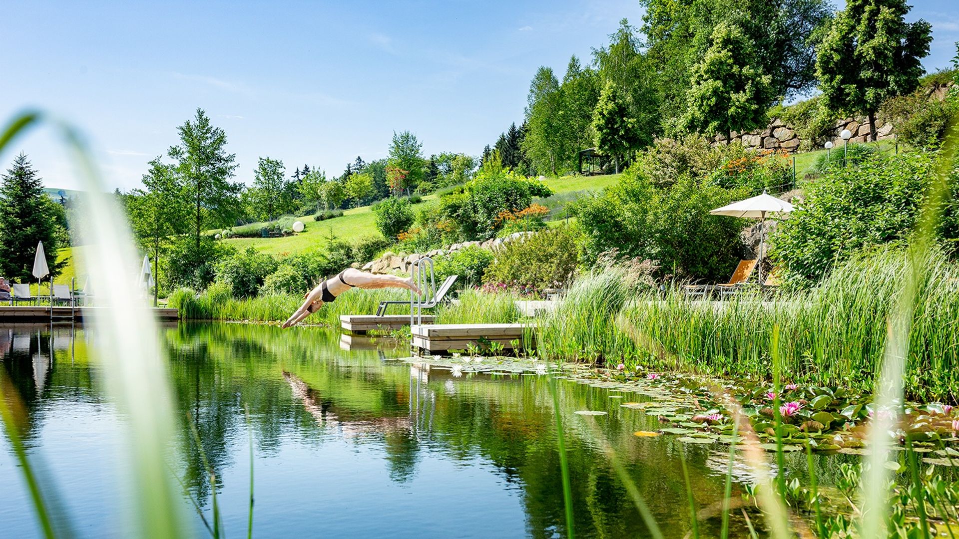 RelaxGarten Naturbadeteich