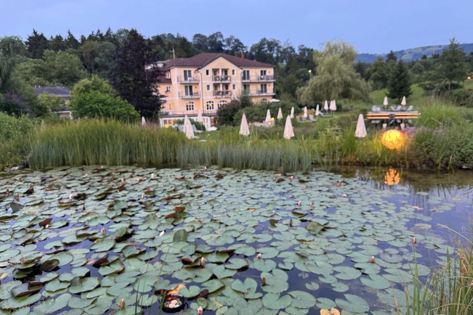 Sommersonnenwende Kothmühle