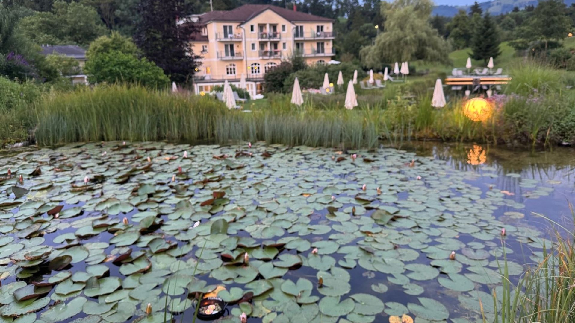 Sommersonnenwende Kothmühle