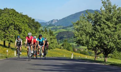 Offer: Cycling in the Ybbstal Alps - Das Schloss an der Eisenstrasse
