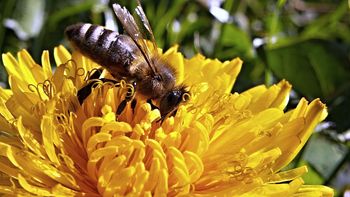 Kurz-mal-weg im Frühling